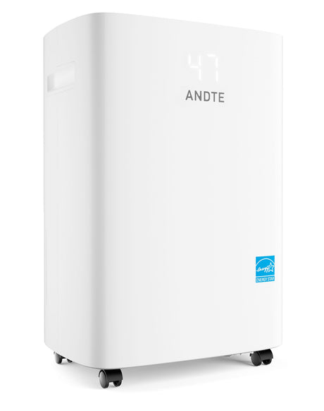 Smart Dehumidifier with Drain Hose and Touch Controls