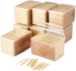 Double-Sided Toothpicks with Clear Storage Box