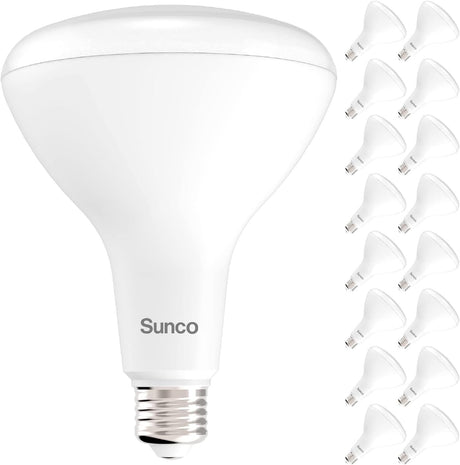 Warm White Dimmable BR40 LED Flood Bulbs