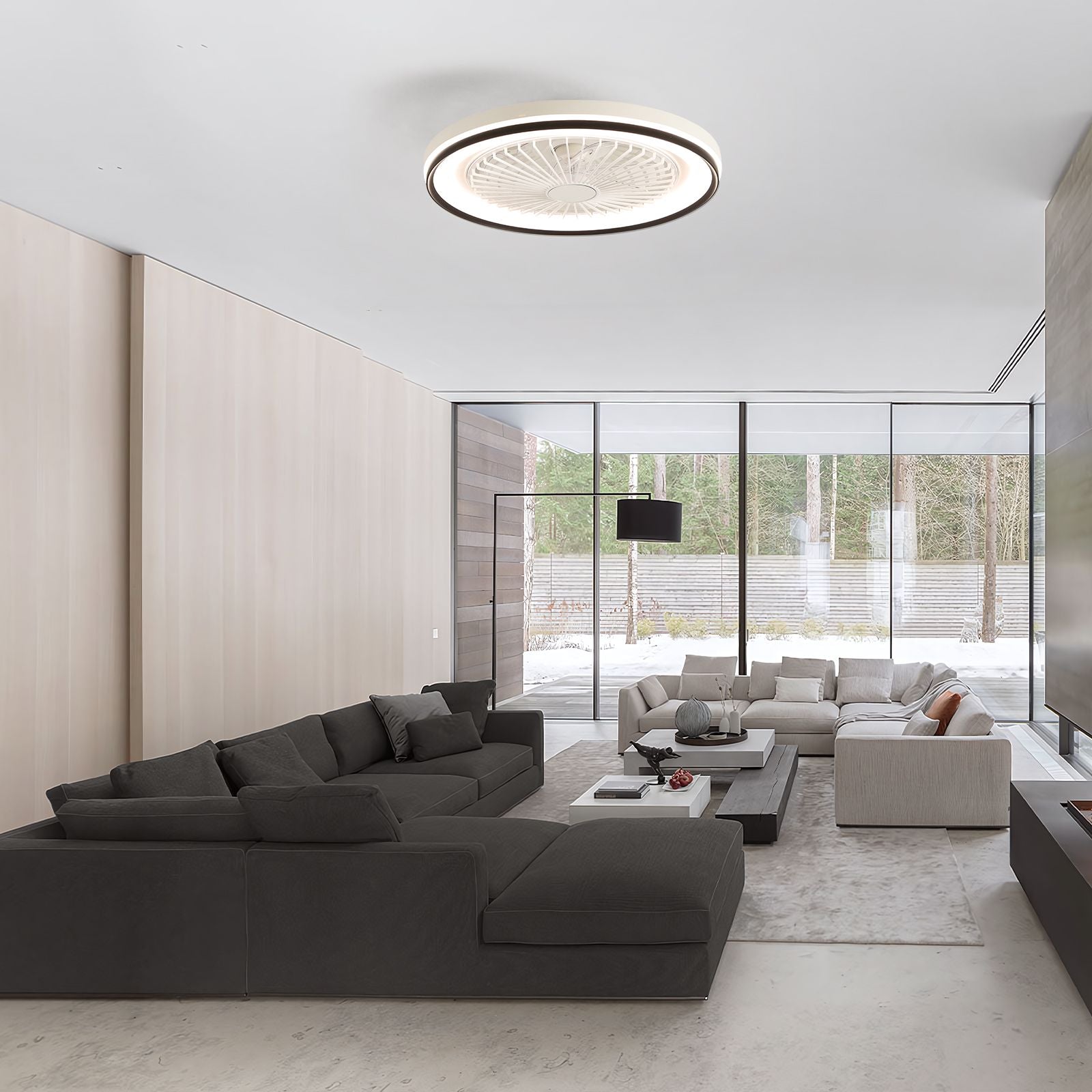 19 RGB Dimmable LED Ceiling Fan with Light, Bladeless, Remote Control