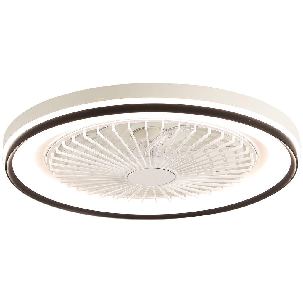 19 RGB Dimmable LED Ceiling Fan with Light, Bladeless, Remote Control