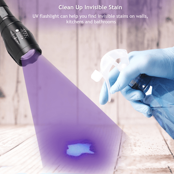 Dual UV and White Zoomable Inspection Flashlight