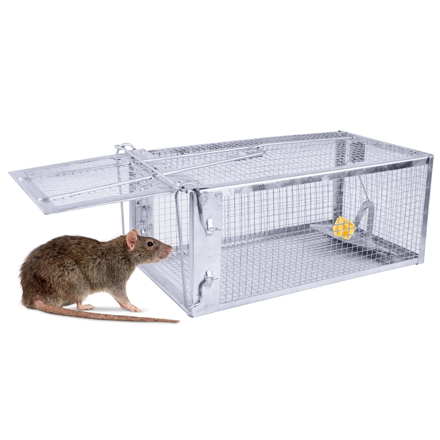 2-Pack Humane Live Rodent Trap Cage with Auto-Lock Door and Quick Setup