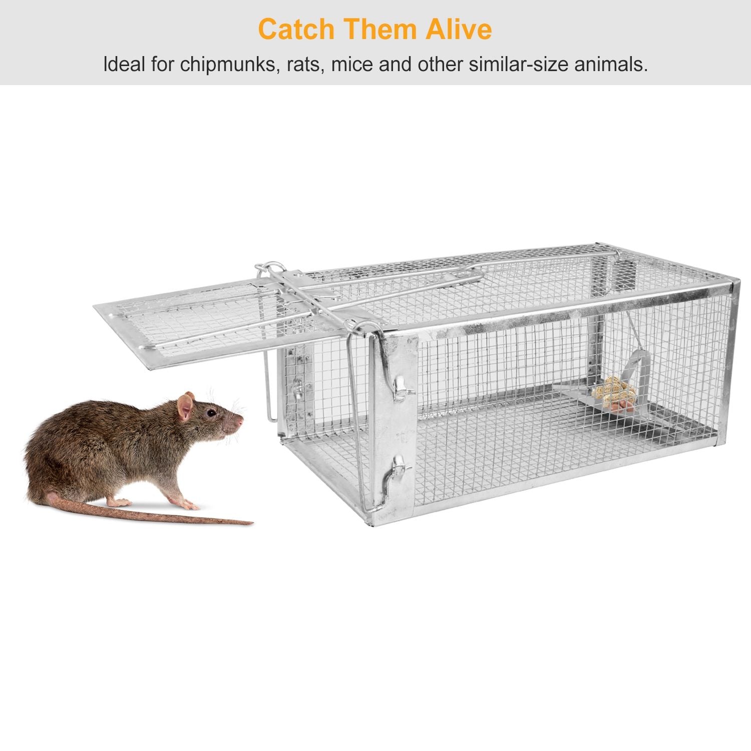 2-Pack Humane Live Rodent Trap Cage with Auto-Lock Door and Quick Setup