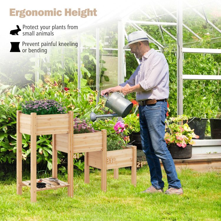 Three-Tier Raised Garden Bed with Lower Shelf