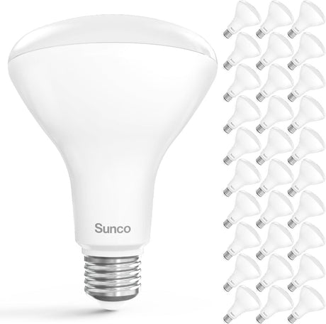 Dimmable Daylight BR30 LED Flood Bulbs