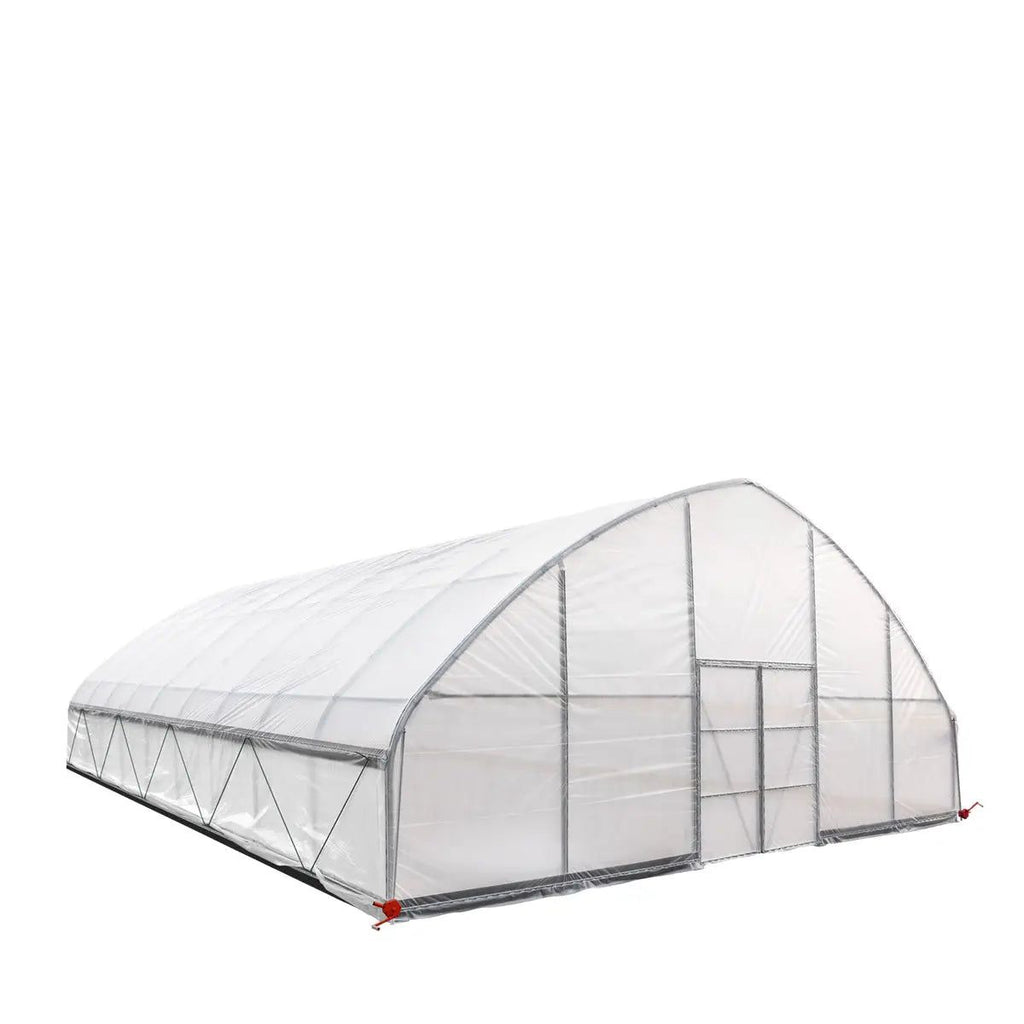 Professional Tunnel Greenhouse Grow Tent for Year-Round Plant Protection