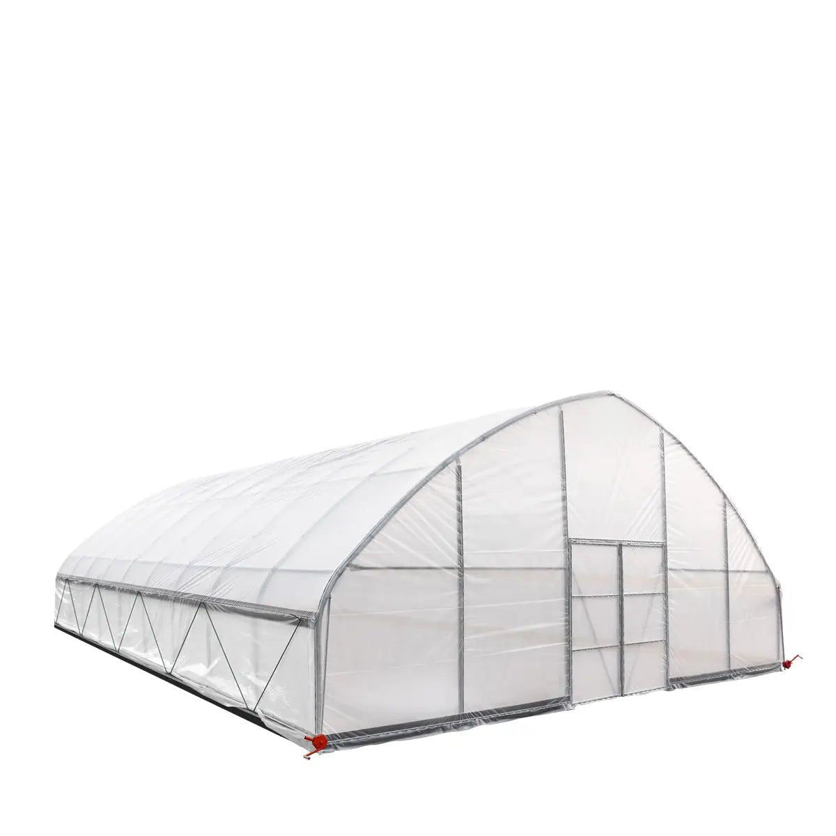 Professional Tunnel Greenhouse Grow Tent for Year-Round Plant Protection