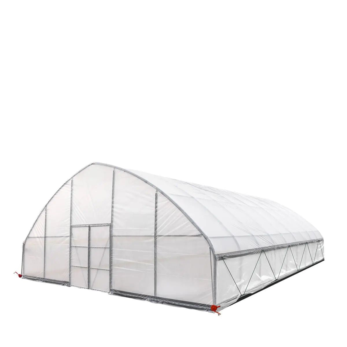 Professional Tunnel Greenhouse Grow Tent for Year-Round Plant Protection