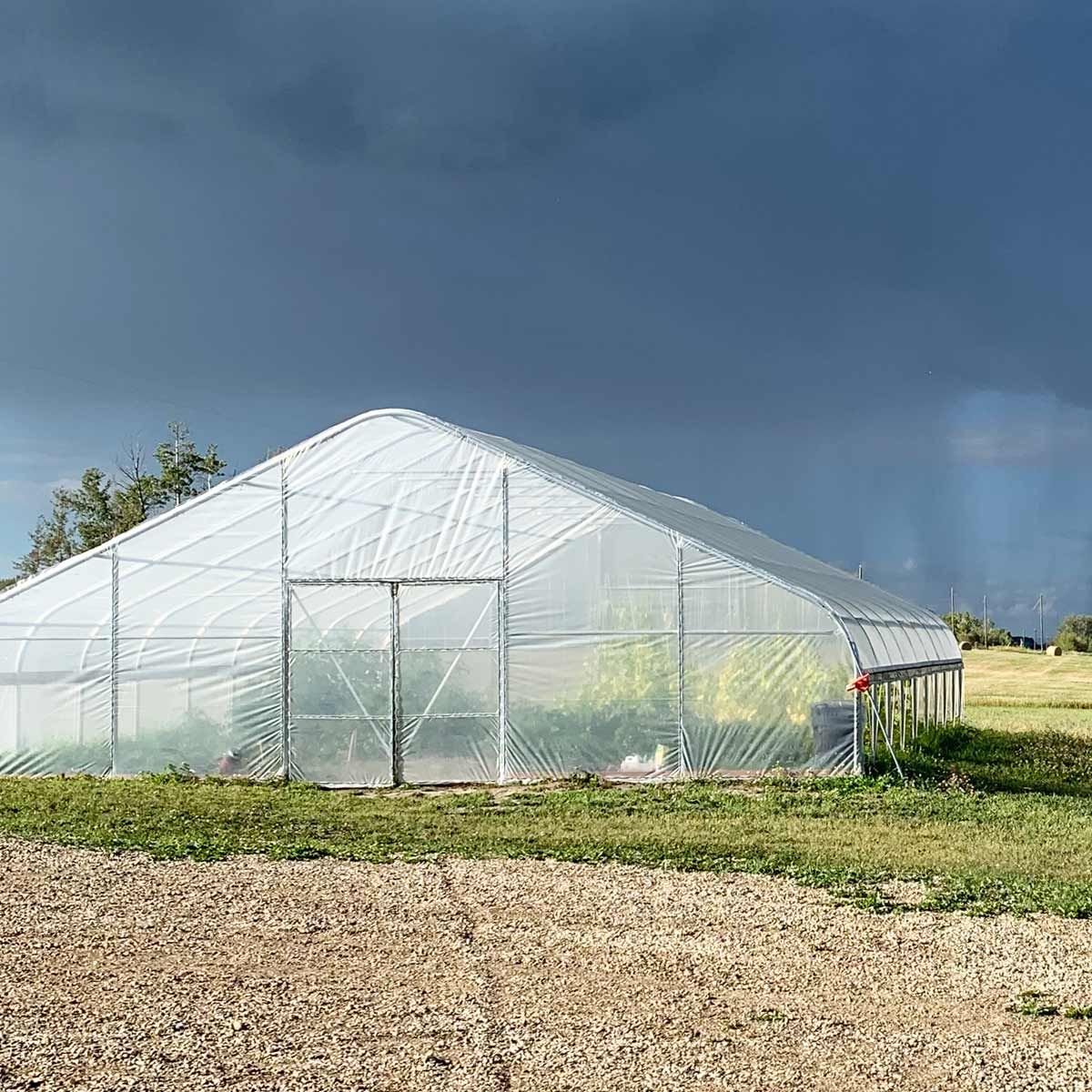 Professional Tunnel Greenhouse Grow Tent for Year-Round Plant Protection
