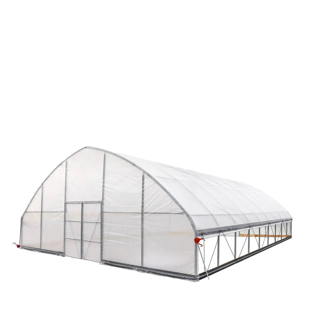 Professional Tunnel Greenhouse Grow Tent for Year-Round Plant Protection