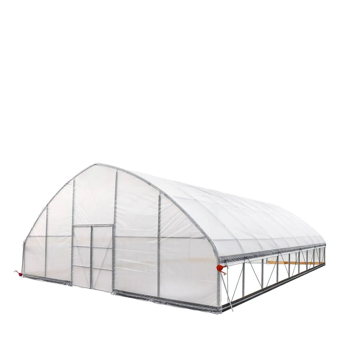 Professional Tunnel Greenhouse Grow Tent for Year-Round Plant Protection