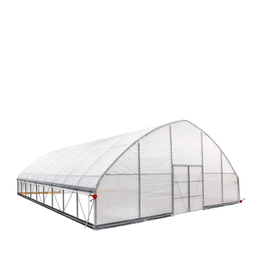 Professional Tunnel Greenhouse Grow Tent for Year-Round Plant Protection