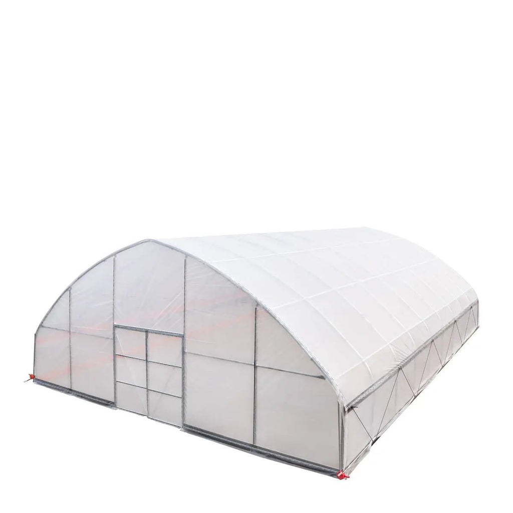 Professional Tunnel Greenhouse Grow Tent for Year-Round Plant Protection