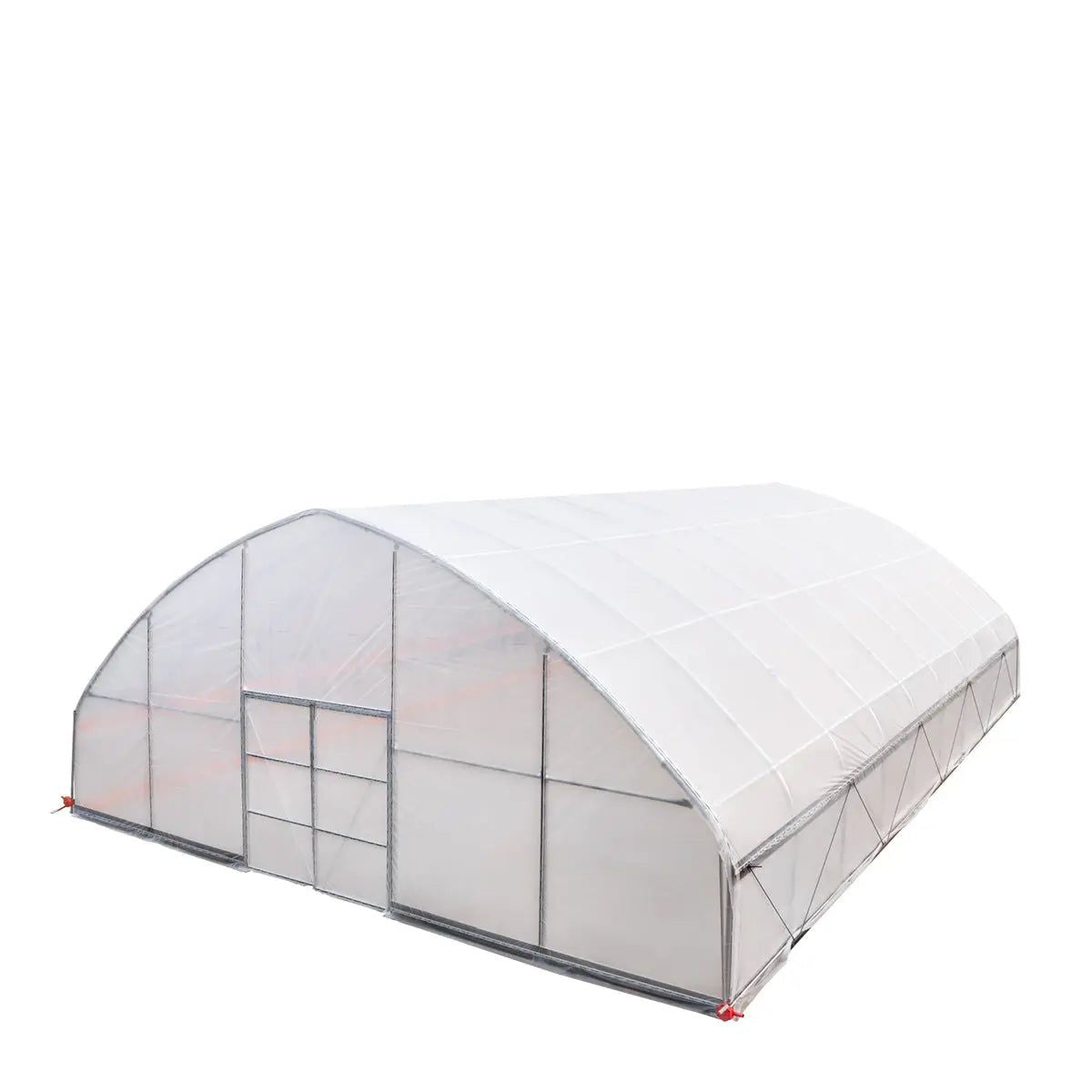 Professional Tunnel Greenhouse Grow Tent for Year-Round Plant Protection