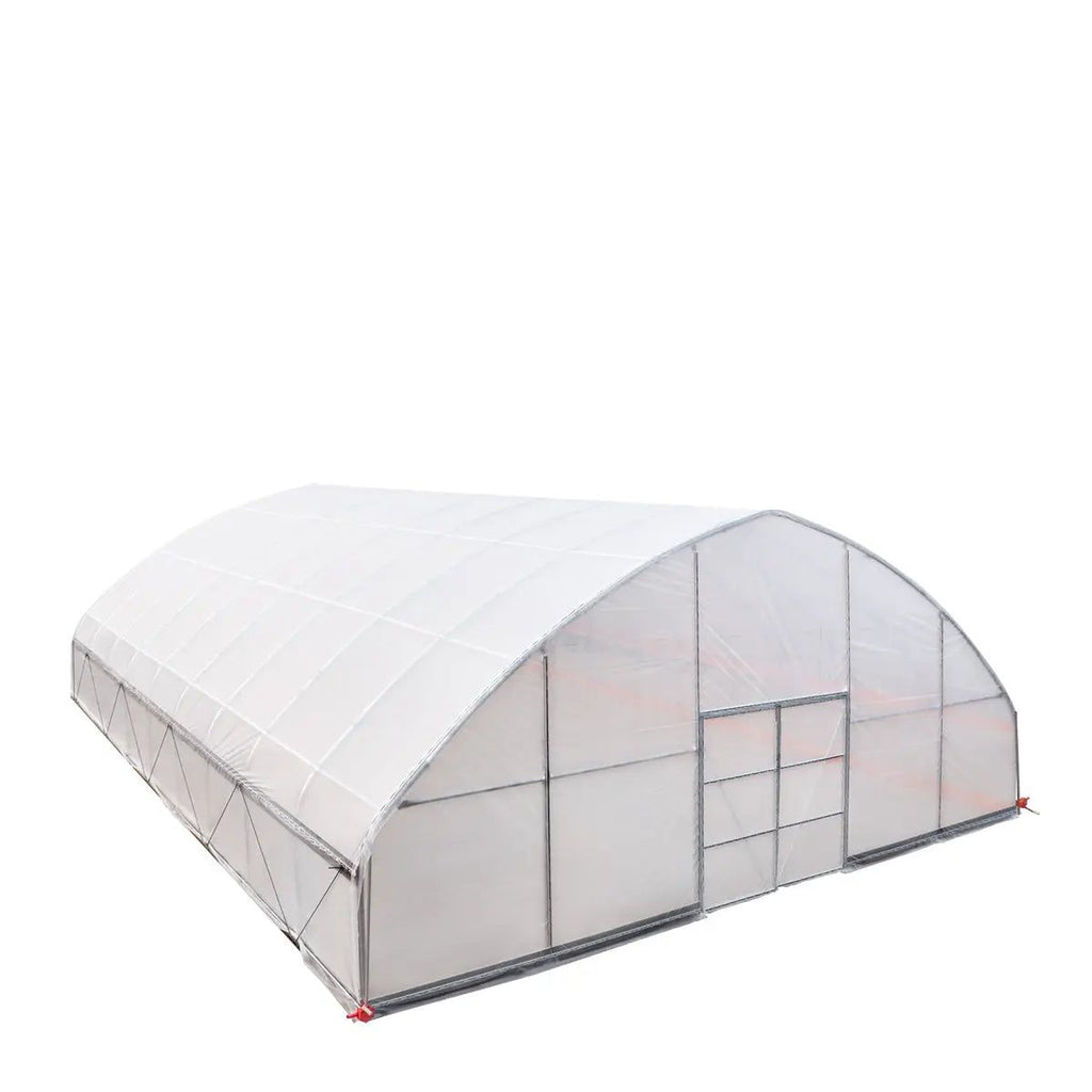 Professional Tunnel Greenhouse Grow Tent for Year-Round Plant Protection