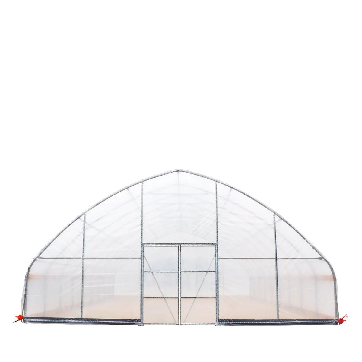 Professional Tunnel Greenhouse Grow Tent for Year-Round Plant Protection