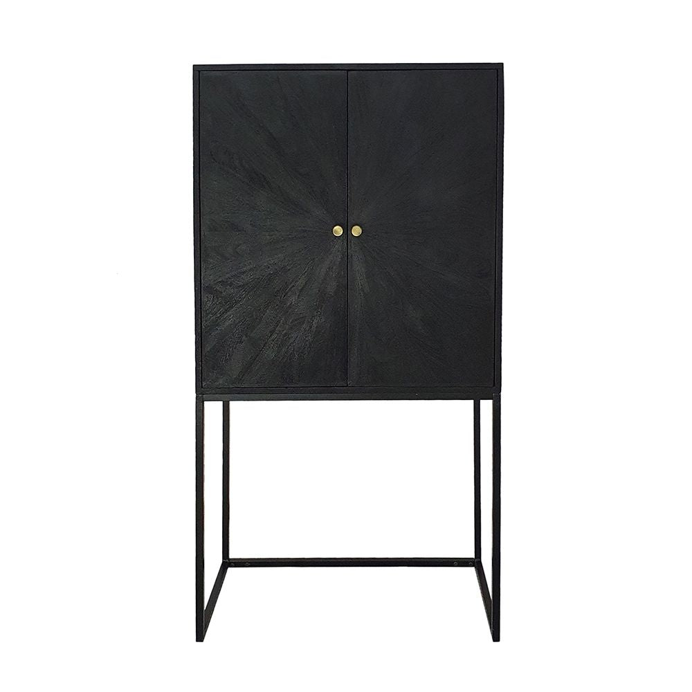 Sleek Black Accent Cabinet with Two Doors for Stylish Storage
