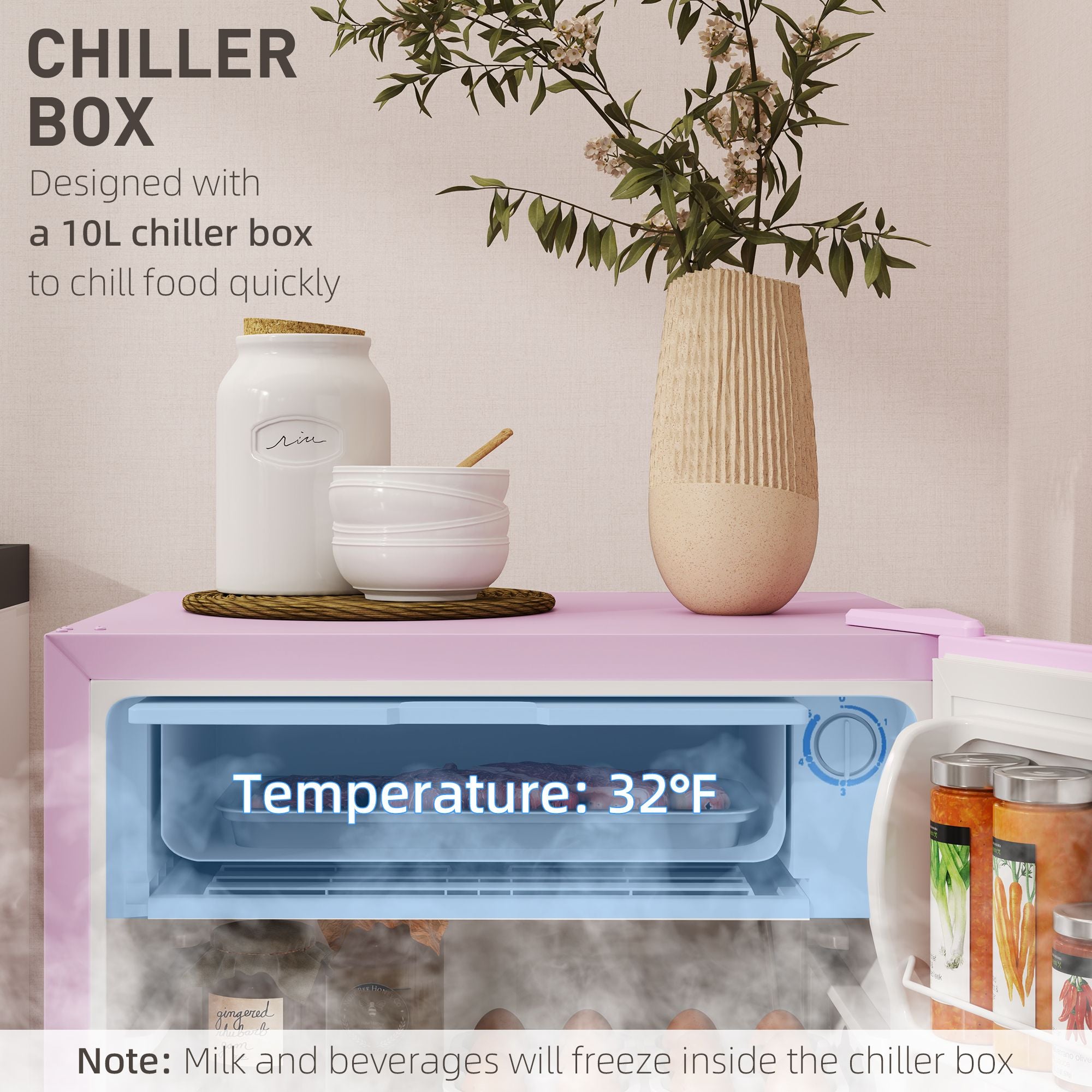 Compact Mini Fridge with Freezer and Adjustable Thermostat