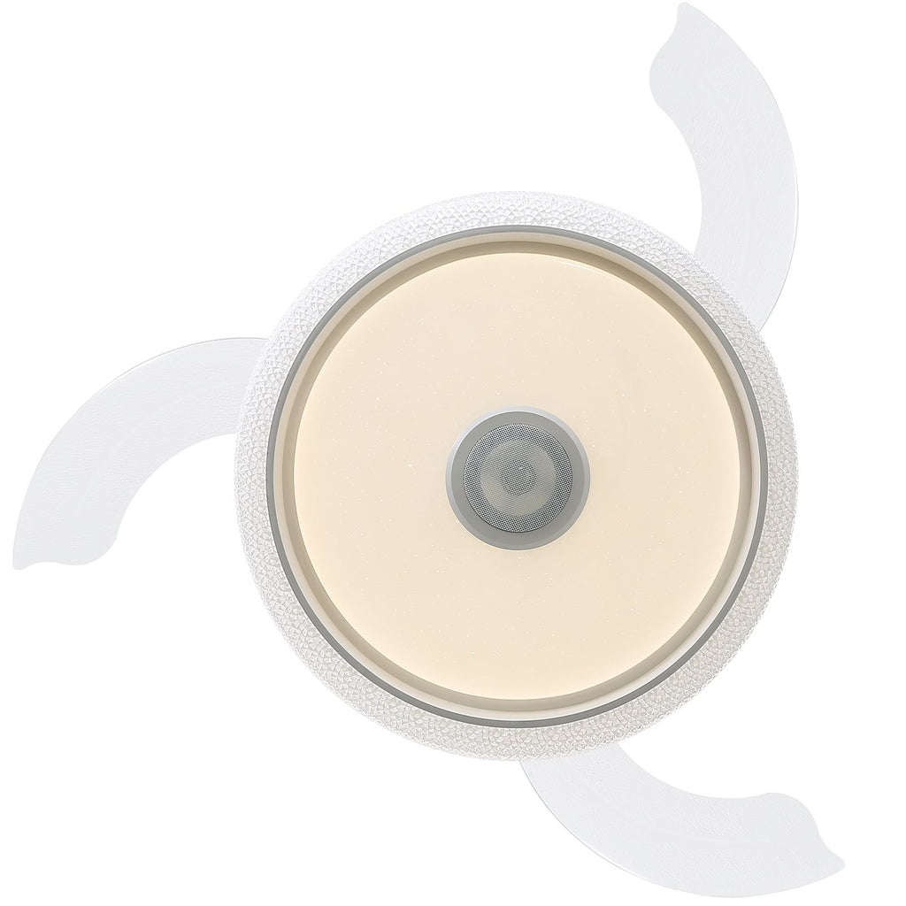 Modern Ceiling Fan with RGB Light and Bluetooth Audio