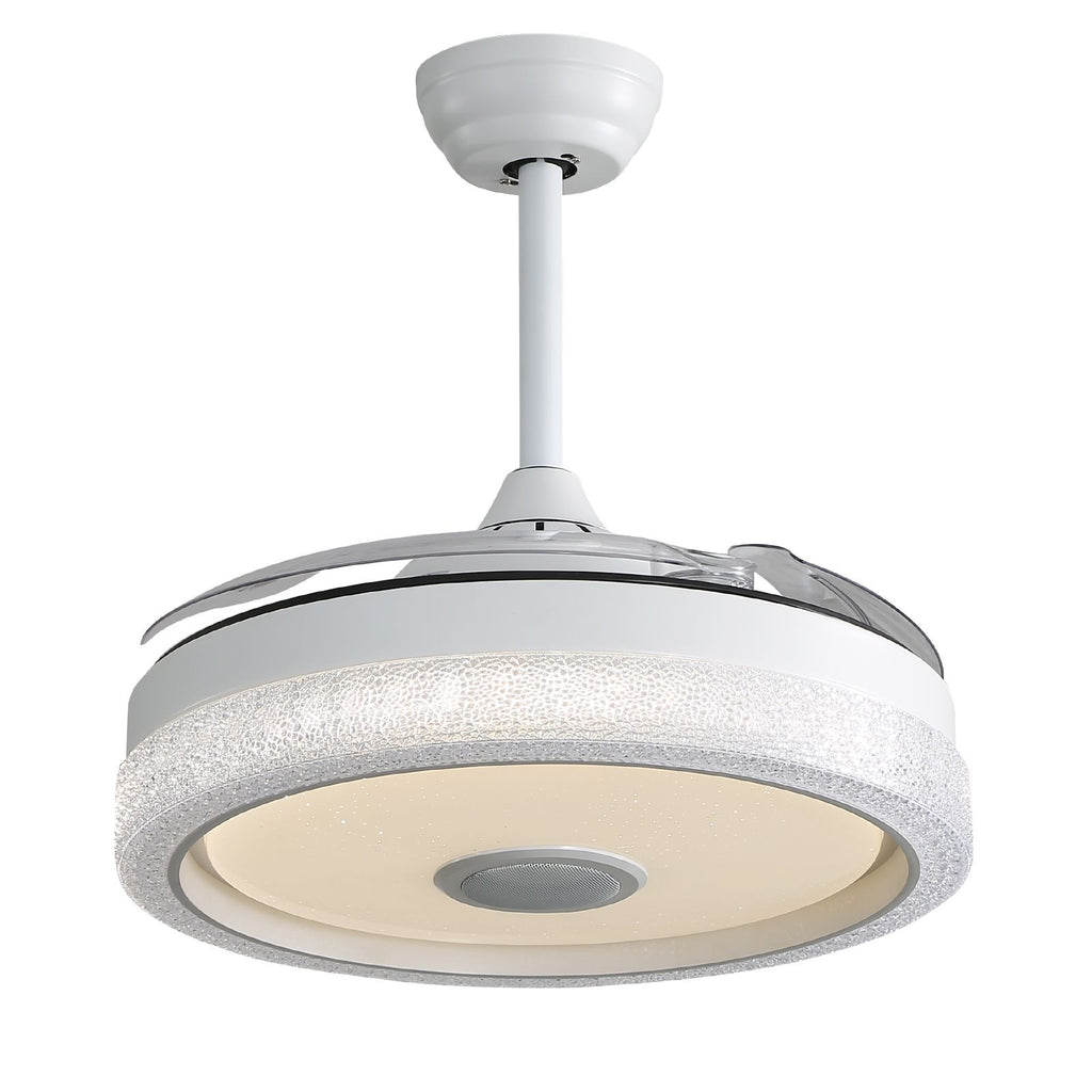 Modern Ceiling Fan with RGB Light and Bluetooth Audio