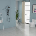 Dual Shower Head and Handheld Set with Slide Bar