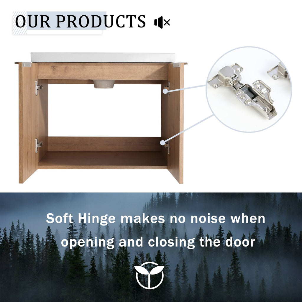 Wall Mounted Bathroom Vanity with Double Door Storage and Sink