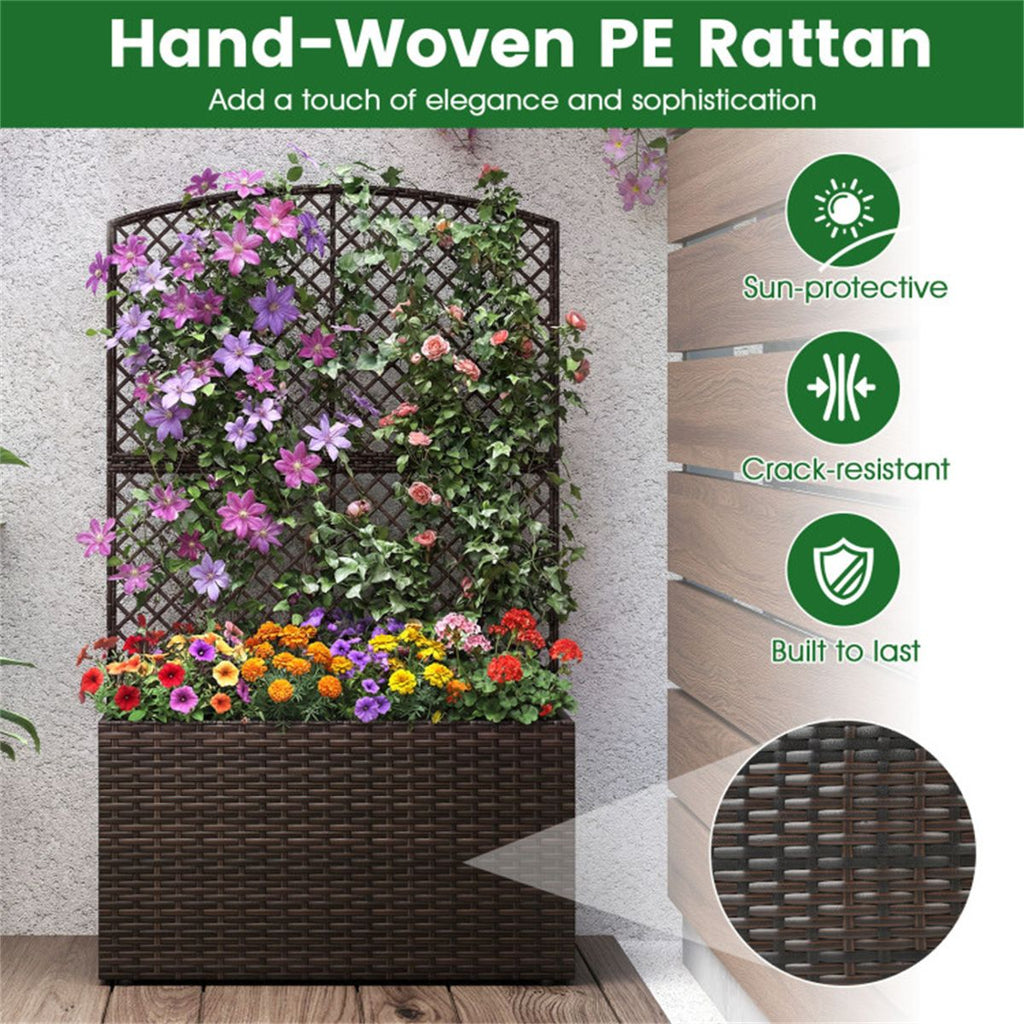 Raised Garden Bed With Climbing Trellis