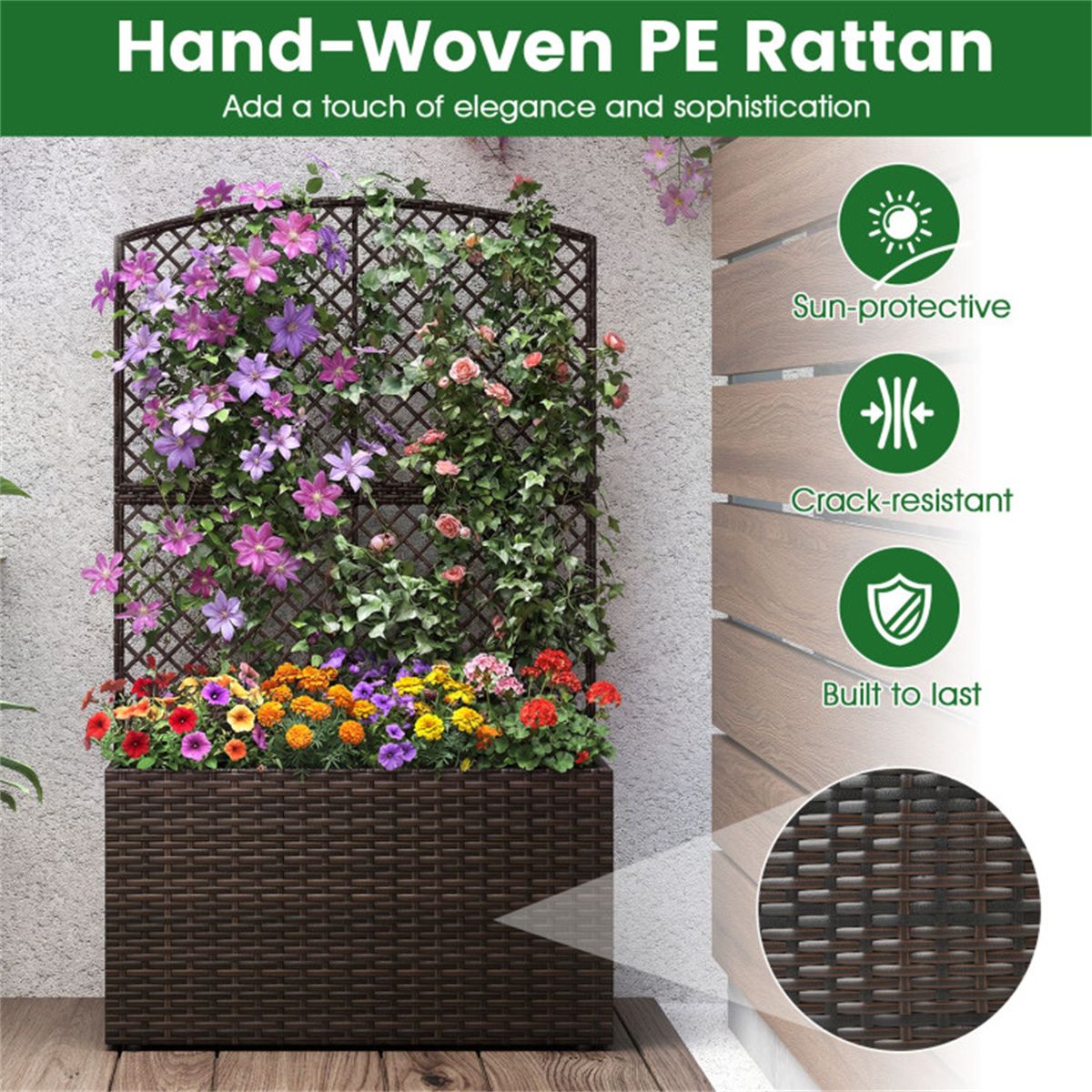 Raised Garden Bed With Climbing Trellis