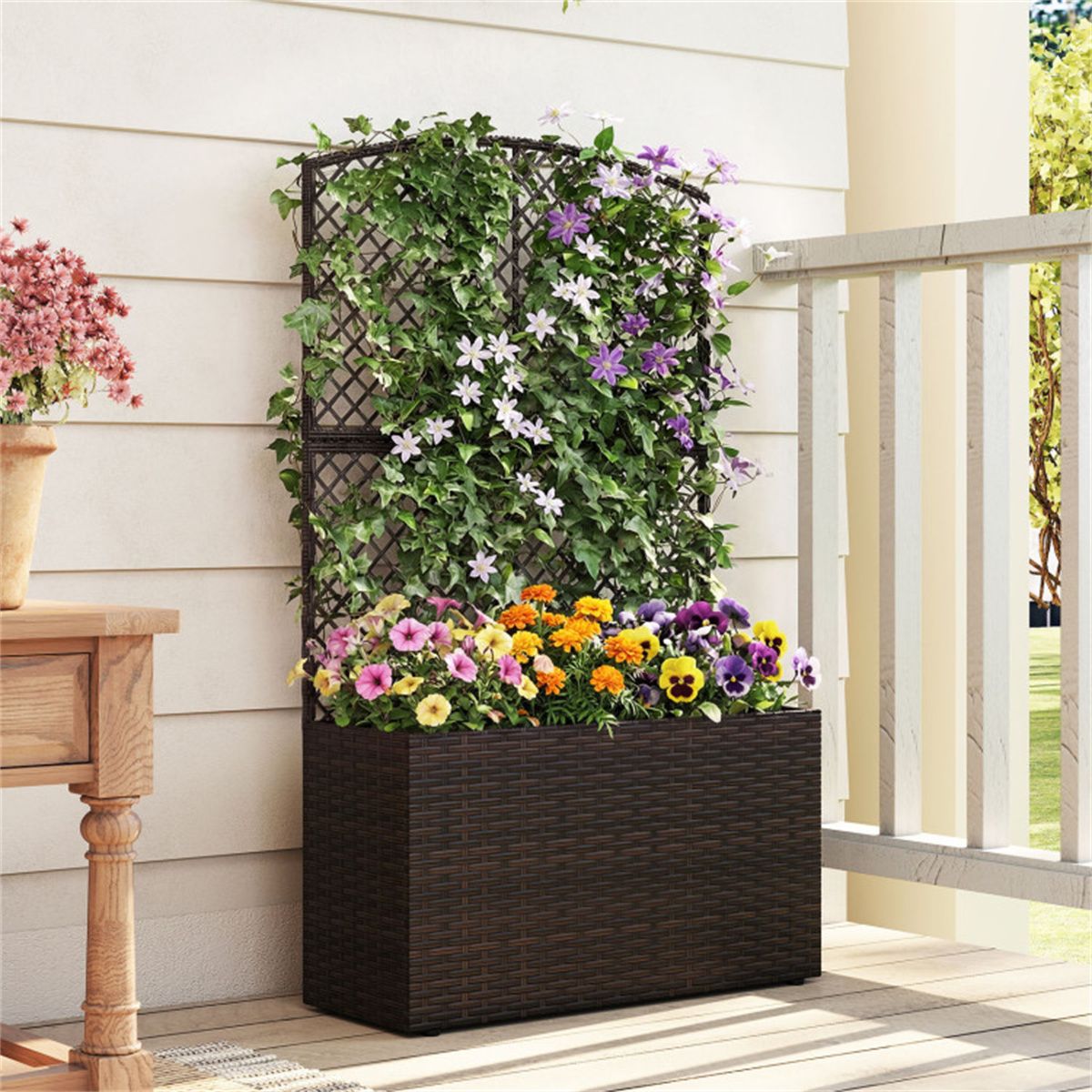 Raised Garden Bed With Climbing Trellis