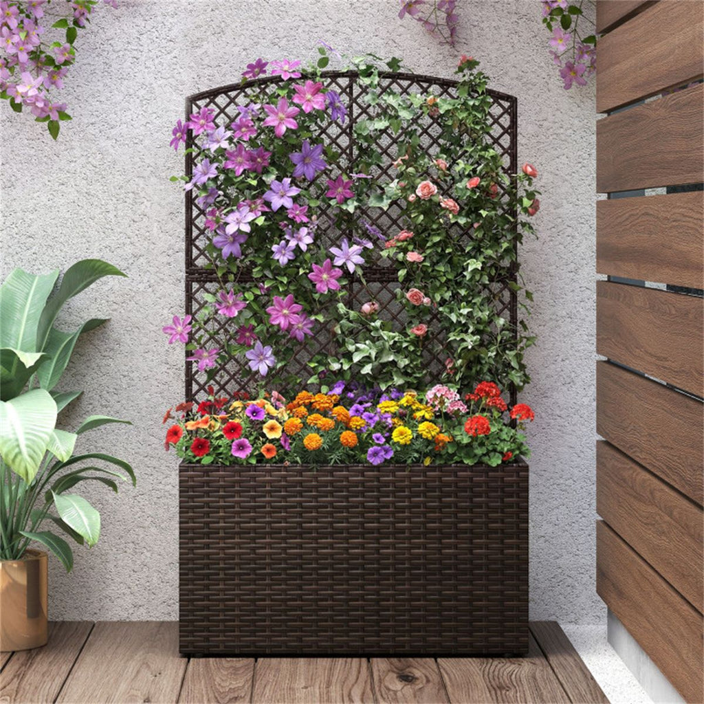 Raised Garden Bed With Climbing Trellis