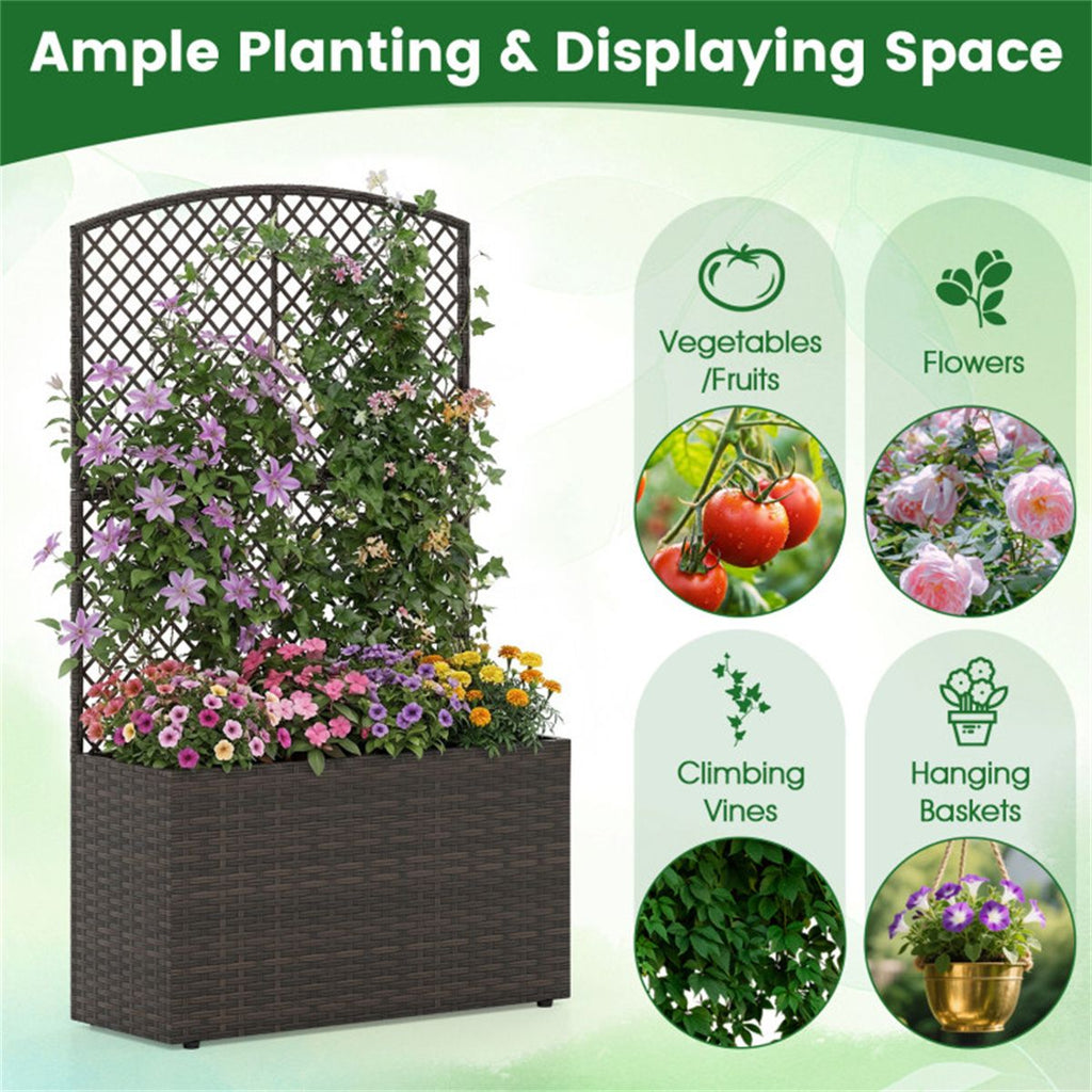Raised Garden Bed With Climbing Trellis