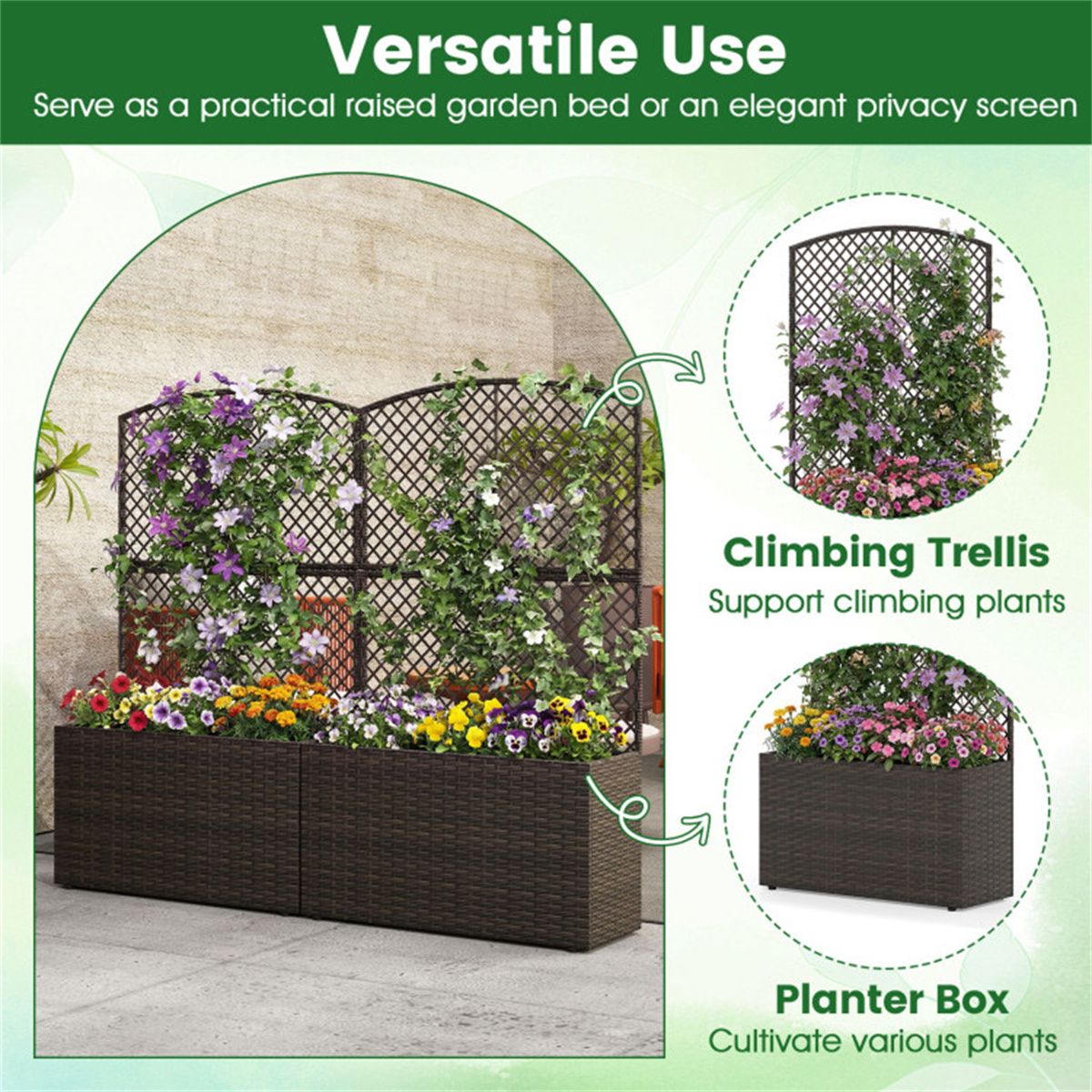 Raised Garden Bed With Climbing Trellis
