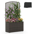 Raised Garden Bed With Climbing Trellis