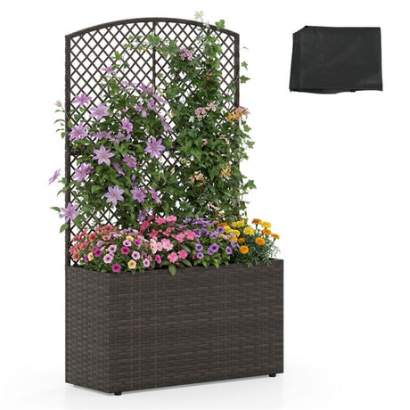Raised Garden Bed With Climbing Trellis