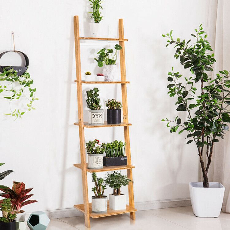 Modern Bamboo 5-Tier Wall-Leaning Display Ladder Bookshelf