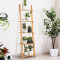 5-Tier Bamboo Wall-Leaning Display Ladder Bookshelf