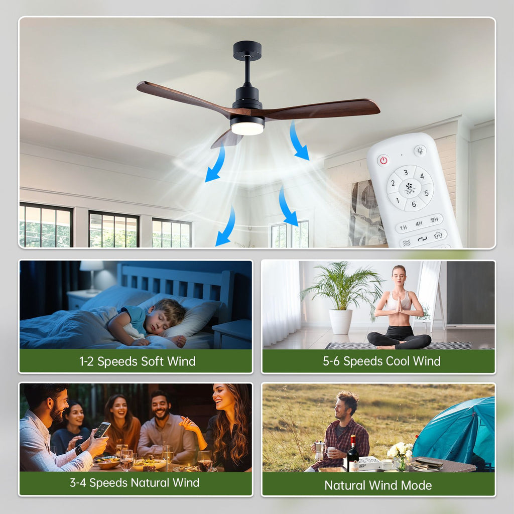 Modern Indoor-Outdoor Ceiling Fan with Light and Remote