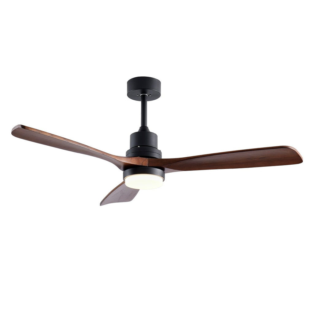 Modern Indoor-Outdoor Ceiling Fan with Light and Remote