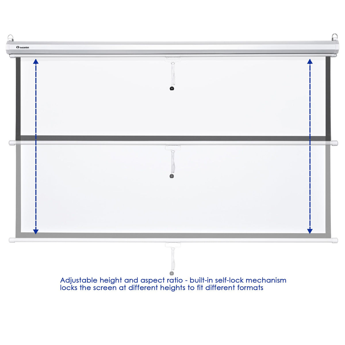 Manual Pull-Down Projection Screen with Height Lock