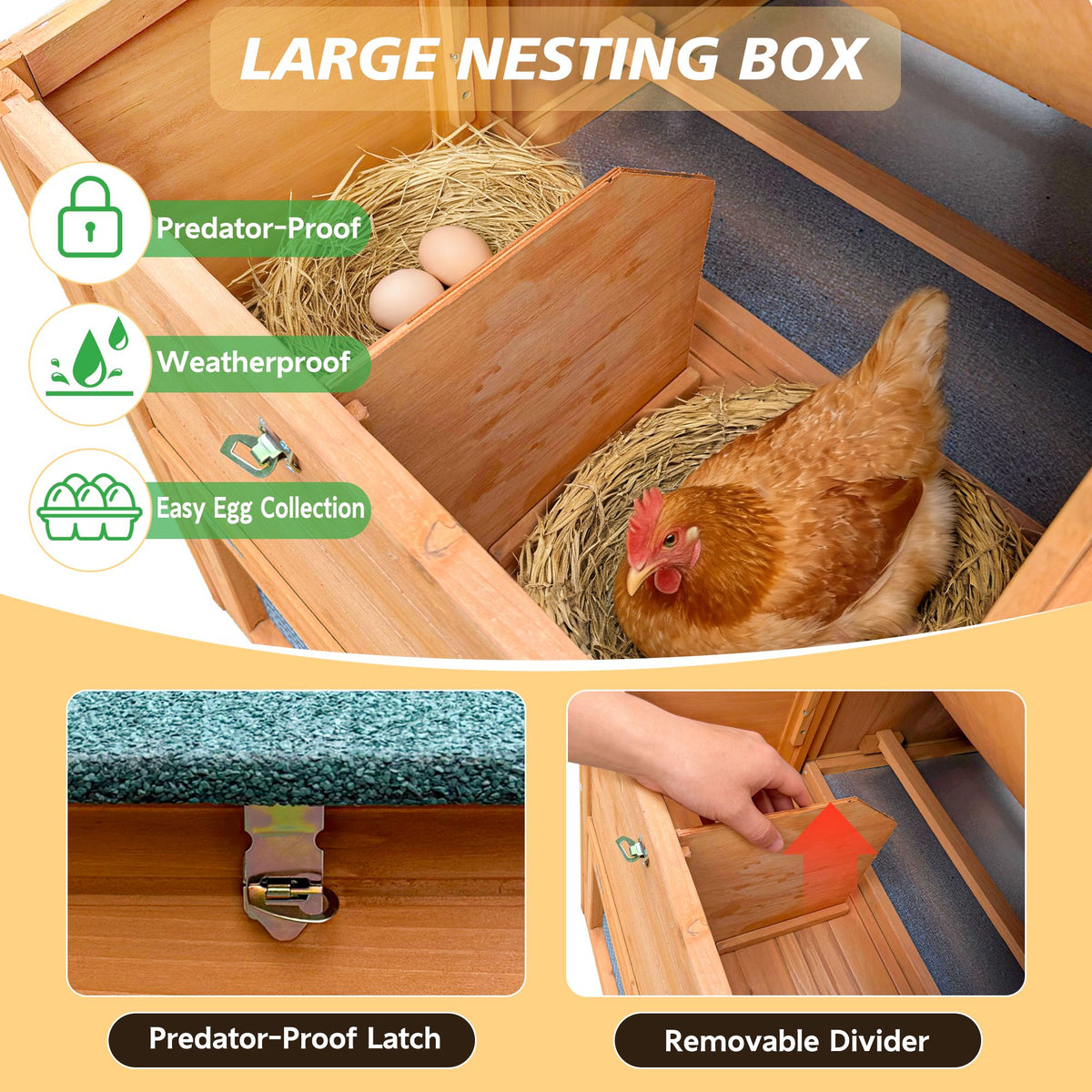 Outdoor Chicken Coop with Nest Box and Removable Tray