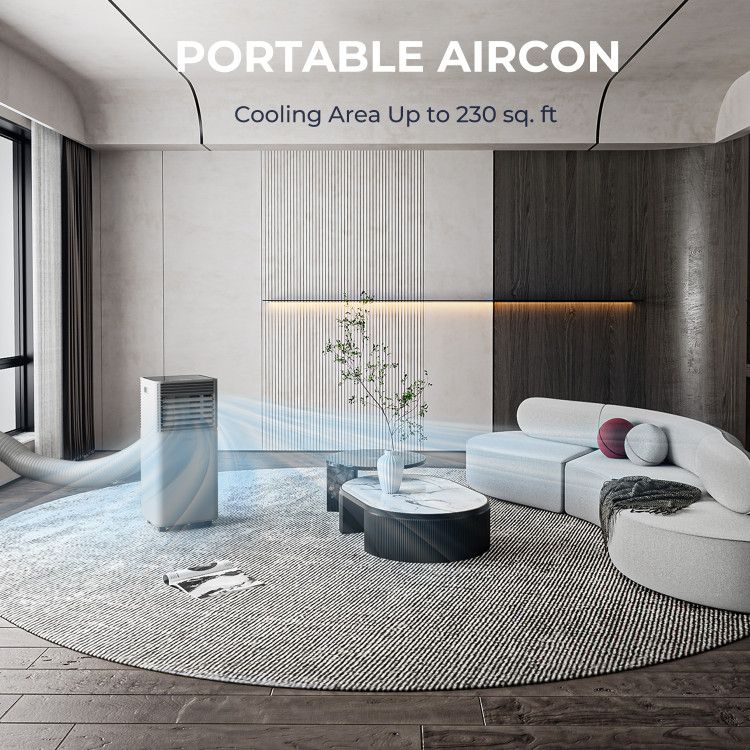 Three-in-One Portable Air Conditioner