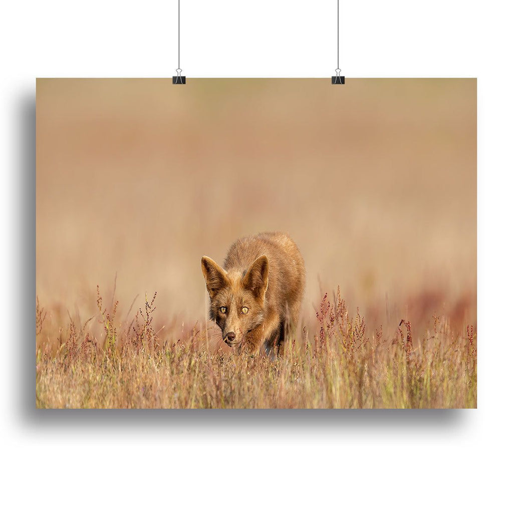 Fox On The Hunt Canvas Print – Modern Wall Art for Any Space