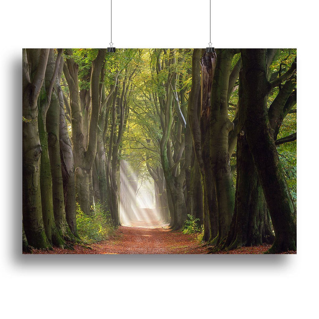 A Glorious Day Art Print or Poster