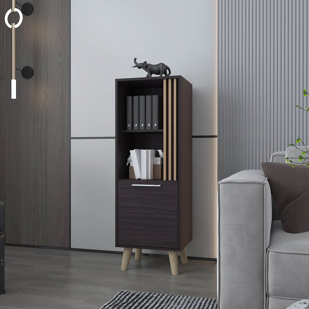 Sleek Storage Cabinet with Open Shelves and Concealed Compartment