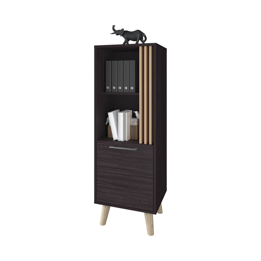 Sleek Storage Cabinet with Open Shelves and Concealed Compartment