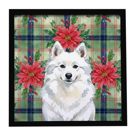 American Eskimo Christmas Poinsettias Framed Metal Print Wall Art,, Ready to Hang