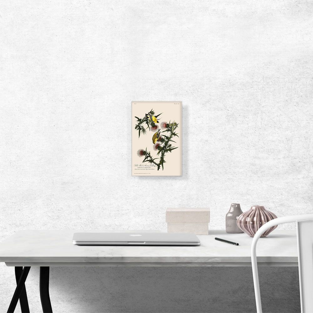 American Goldfinch Nature-Inspired Wall Art