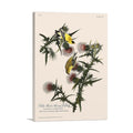 American Goldfinch Nature-Inspired Wall Art