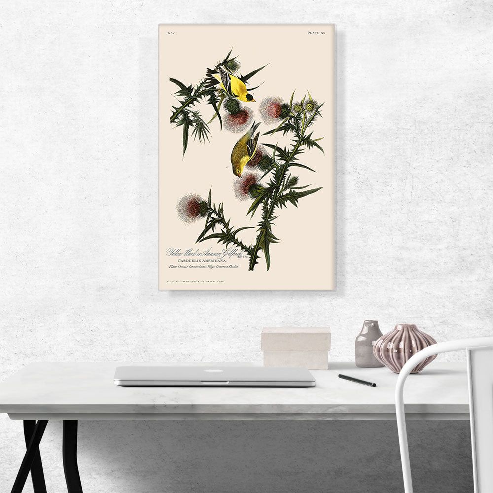American Goldfinch Nature-Inspired Wall Art